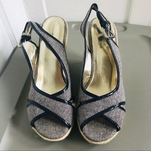 Banana Republic Navy Wedge Sandals size 10